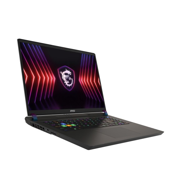 MSI Vector 17 HX A14VHG-1009 43,18cm (17") i9-14900HX 32GB 1TB W11 0017S1-1009