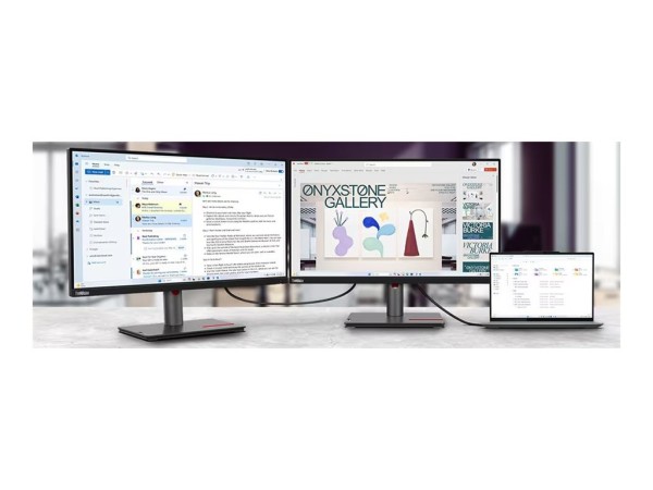 LENOVO ThinkVision P25i-30 62,23cm (24,5") 63F4MAT1EU