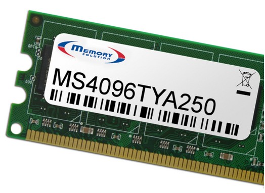 MEMORYSOLUTION Tyan MS4096TYA250 4GB MS4096TYA250