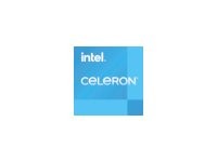 INTEL Celeron G6900 S1700 Box BX80715G6900