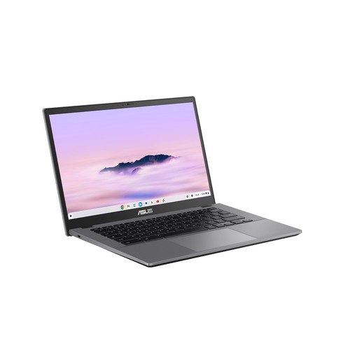 ASUS Chromebook Plus CX3402CVA-PQ0489 35,6cm (14") i3-1315U 8GB 256GB Chrom 90NX07P2-M00JP0