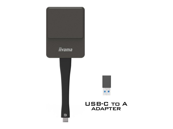 IIYAMA WiFi Präsentations-Dongle WP D002 USB-C inkl. USB-A retail WP D002C