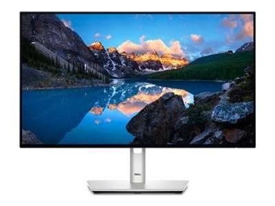 DELL LCD U2424HE 61cm (24") 210-BKJF