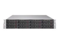SUPERMICRO SUPERMICRO SuperStorage Server SSG-6029P-E1CR12T