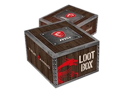 MSI Loot Box Level 1 957-1XXXXE-063