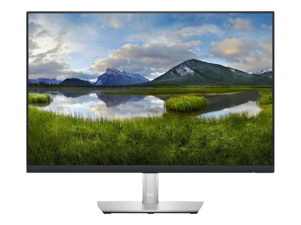 DELL P2423 61cm (24") 210-BDFS